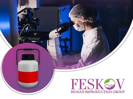 blog: Warum ist der Transport von kryokonservierten Eizellen in Feskov Leihmutterschaftsagentur auch in Ihrem Fall effektiv?