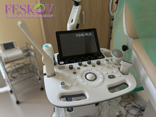 Medizinische und rechtliche Unterschiede zwischen gestationeller und traditioneller Leihmutterschaft