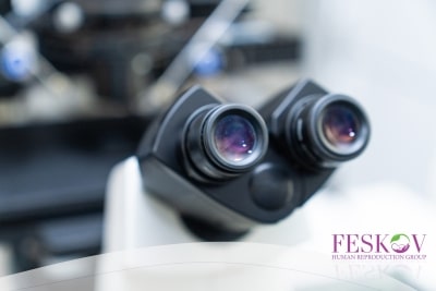 Gibt Leihmutter DNA weiter?