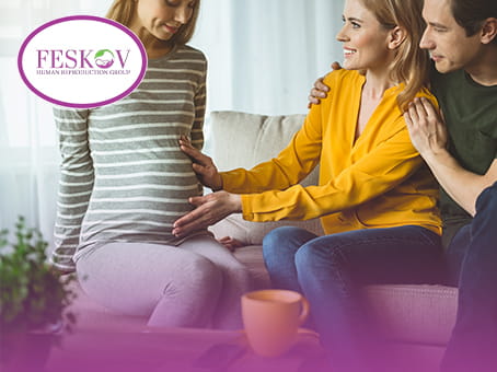 Muster des genetischen Beitrags: 100 % DNA von den biologischen Eltern und 0 % genetischer Einfluss von der Leihmutter.