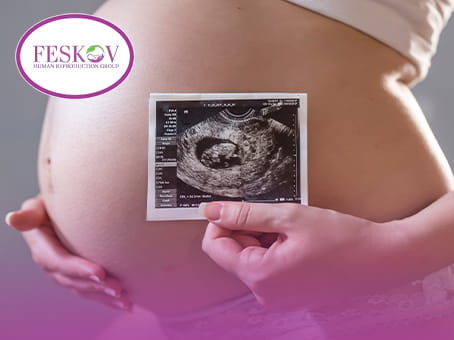 Im zweiten Trimester der Schwangerschaft f&uuml;hrt ein Reproduktionsspezialist eine Ultraschalluntersuchung des F&ouml;tus durch, um die Entwicklung und das Geschlecht des Babys zu bestimmen.