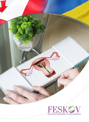 Leihmutterschaft in Georgien und der Ukraine: Wo sind die Bedingungen besser?