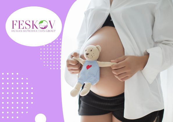 Was sind Follikel und warum sind sie wichtig für meine Fruchtbarkeit? - 1 Was sind Follikel und warum sind sie wichtig für meine Fruchtbarkeit?