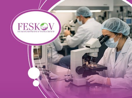 Embryonenbewertung: Verständnis der Embryonenqualitätsbeurteilung Bild