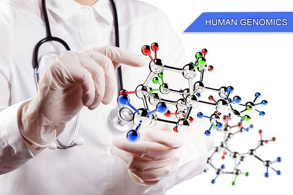 human genomic