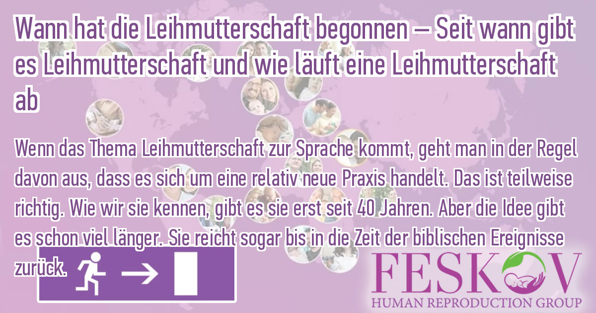 pflanzstab halter bellissa Pflanzstab Premium 130 verzinkt – Rasenkante 24 main image 0