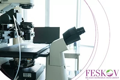 Sind Eizellenspenderinnen biologische M&uuml;tter?