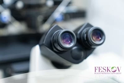 Gibt Leihmutter DNA weiter?