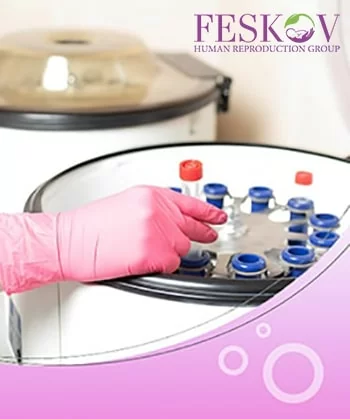 
Leihmutterschaft f&uuml;r Paare mit genetischen St&ouml;rungen