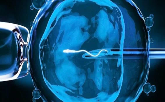 Nachrichten in der Welt der ART Bild