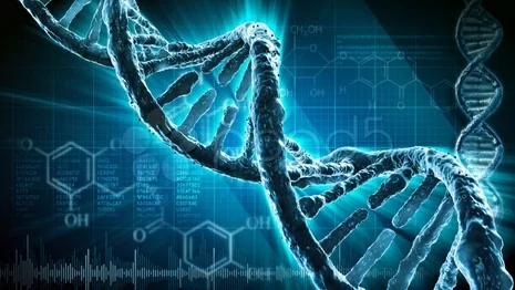 Die Vorteile der ukrainischen Genetik. Eizellenspende verdienst foto Die Vorteile der ukrainischen Genetik. Eizellenspende verdienst Bild