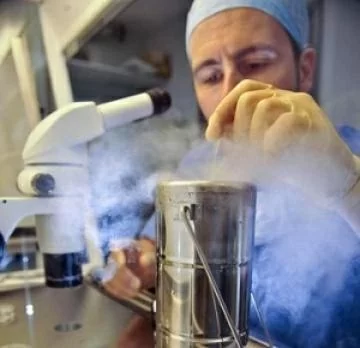 Kindergeburt nach der Durchführung der IVF-Prozedur Bild