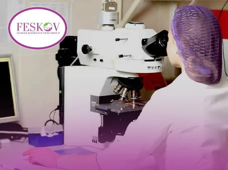 Der Prozess der genetischen Untersuchung eines Embryos mithilfe der PGD-Methode in einem Labor, um einen gesunden F&ouml;tus auszuw&auml;hlen und sein Geschlecht zu bestimmen.