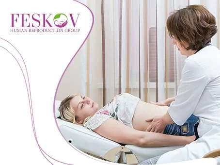 Was Sie über den Embryotransfer wissen sollten Bild