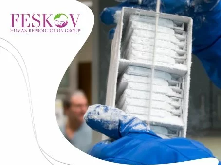 Was ist eine Kryobank? Bild