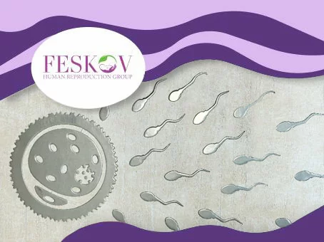 Tipps für eine reibungslose Leihmutterschaft Bild