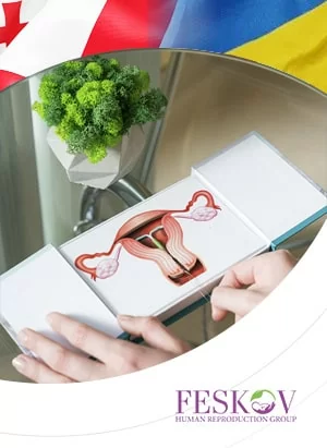 Leihmutterschaft in Georgien und der Ukraine: Wo sind die Bedingungen besser?