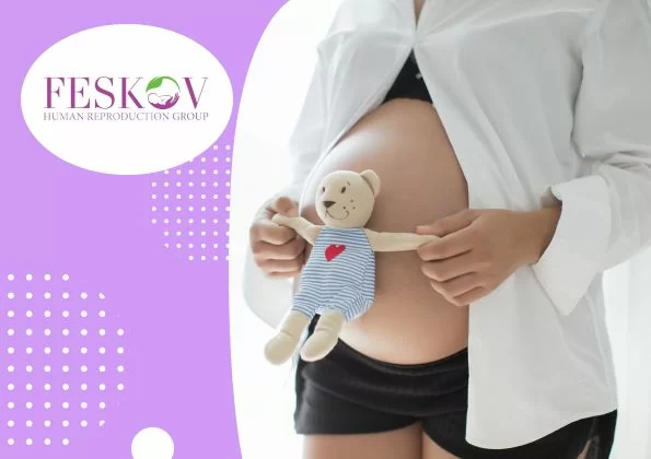 Was sind Follikel und warum sind sie wichtig für meine Fruchtbarkeit? - 1 Was sind Follikel und warum sind sie wichtig für meine Fruchtbarkeit?