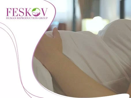 Gestationale Leihmutterschaft: Fakten von Fiktion trennen Bild