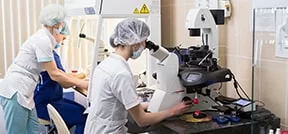 Mitochondriale Behandlung / Pronukleartransfer für Guarantee IVF Mitochondriale Behandlung / Pronukleartransfer für Guarantee IVF