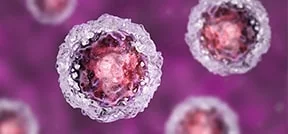 Stammzelltherapie in IVF Stammzelltherapie in IVF
