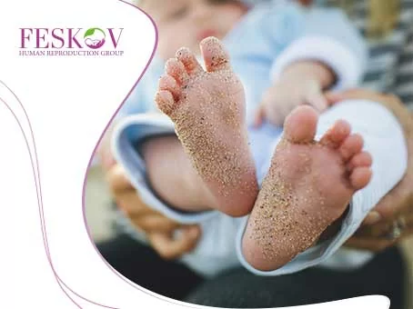 blog: Eizellenspenderin in Australien Bild