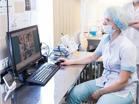 Dienstleistungen der Eizellspende in Dänemark und Deutschland Bild