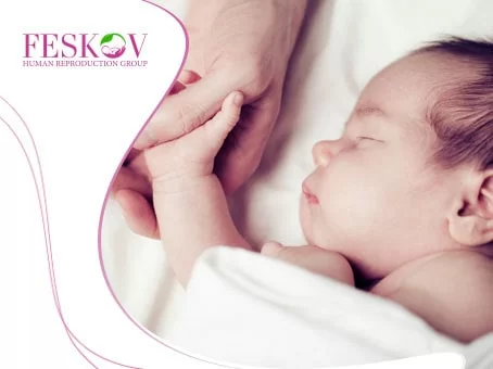 blog: Eizellenspenderin in Europa Bild